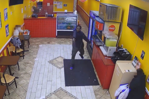 wp header logo 386.png wp header logo 386.png