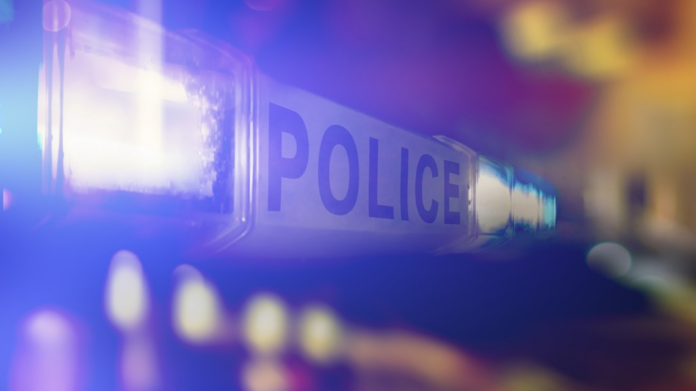 wp header logo 448.png