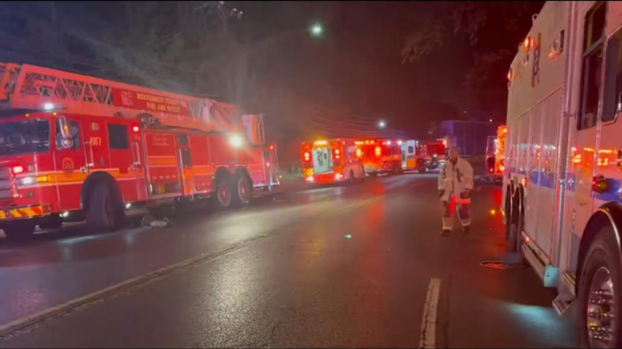 wp header logo 452.png