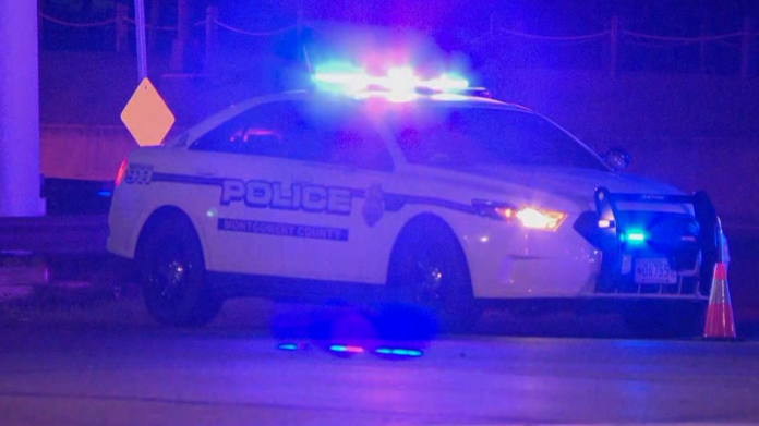 wp header logo 104.png