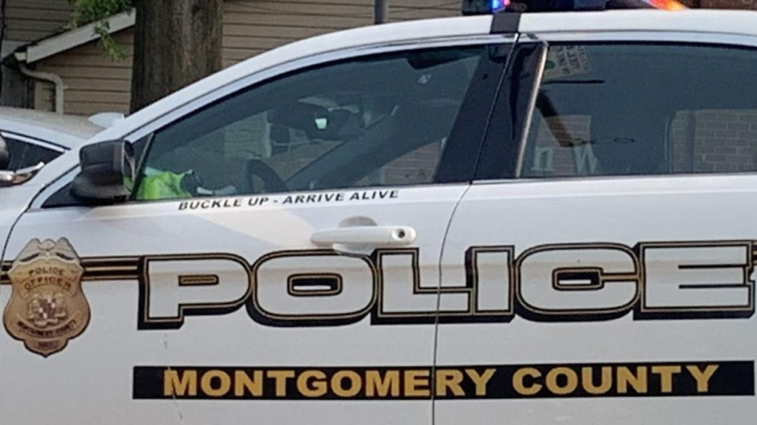 wp header logo 23.png