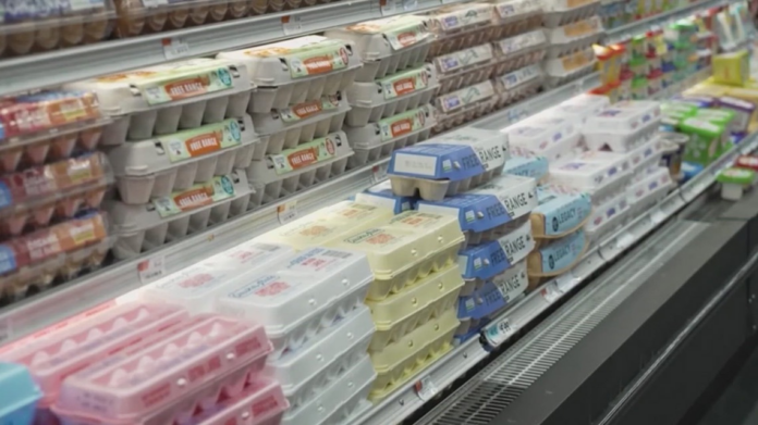 wp header logo 323.png