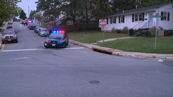 wp header logo 39.png