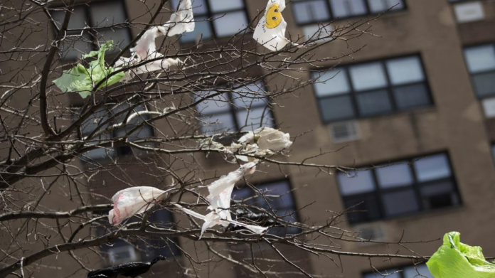 wp header logo 107.png