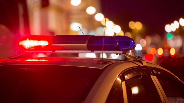 wp header logo 131.png