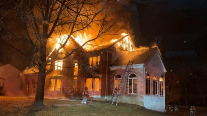 wp header logo 167.png