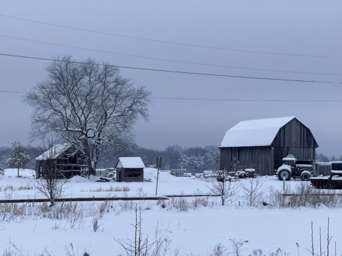 wp header logo 299.png