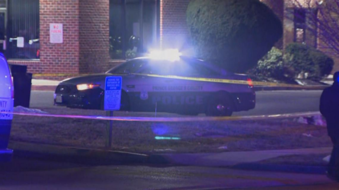 wp header logo 1384.png