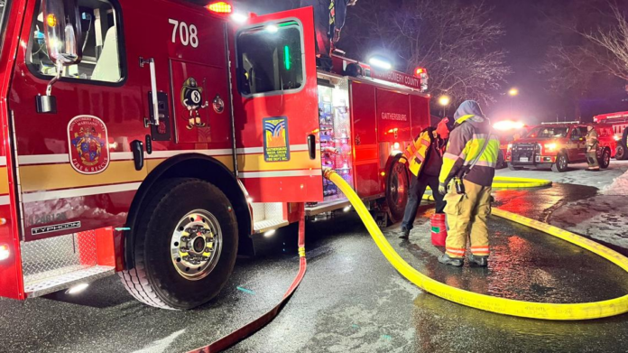 wp header logo 735.png